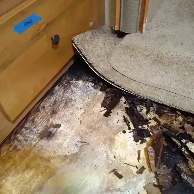 Best Wood Floor Water Damage Service in Forsyth, IL